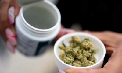Venta legal de cannabis en Alemania