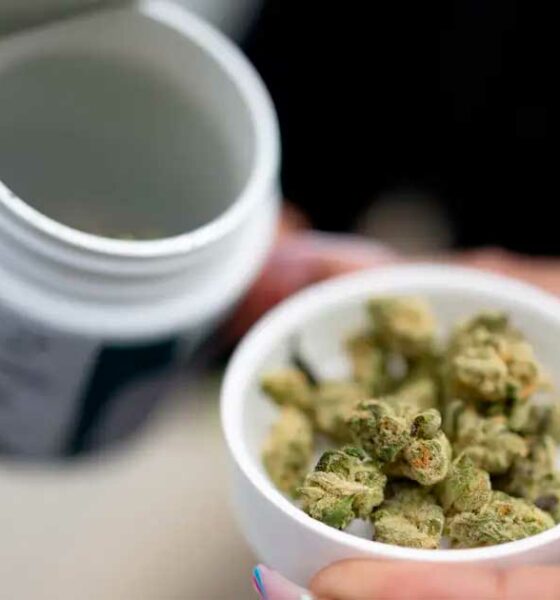 Venta legal de cannabis en Alemania