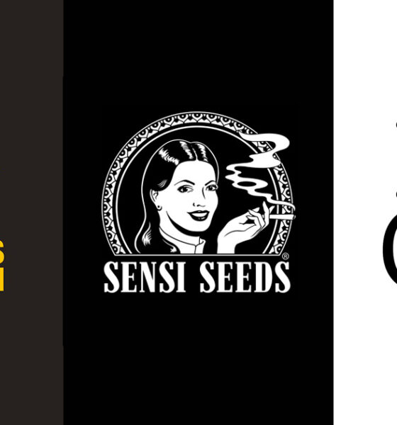 Fusión de Barney's Farm, Sensi Seeds e ILGM