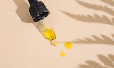 EFSA, Nuevos alimentos y CBD