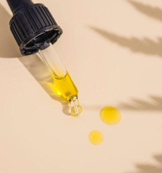 EFSA, Nuevos alimentos y CBD
