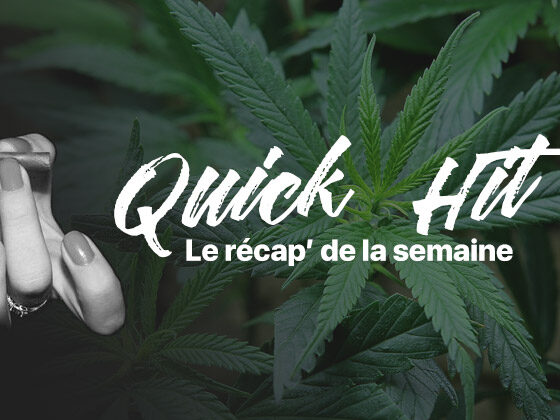 Noticias de actualidad sobre el cannabis
