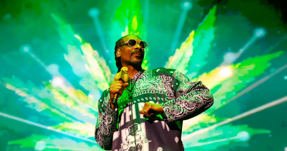 Casa Verde y Mamedica