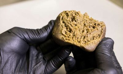 El envejecimiento del hachís marroquí