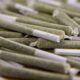 Aumenta el precio de los prerolls en Estados Unidos