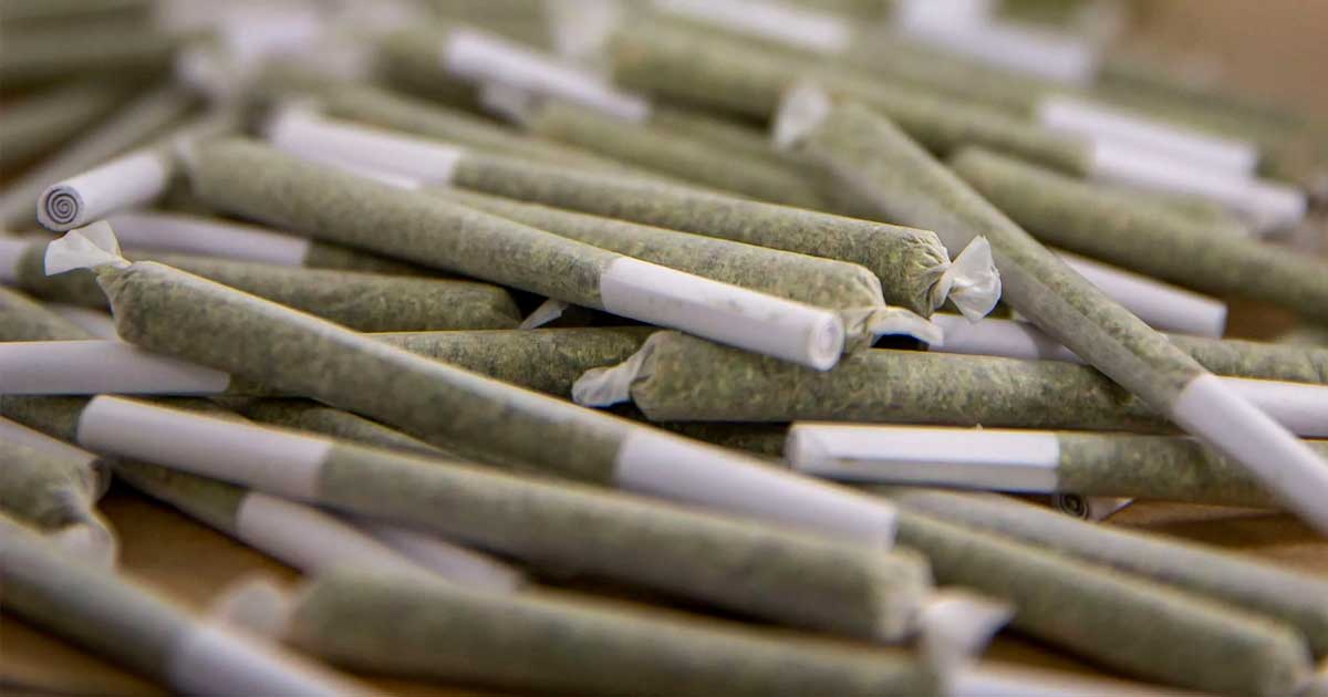Aumenta el precio de los prerolls en Estados Unidos