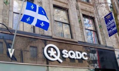 Descenso del consumo de cannabis en Quebec
