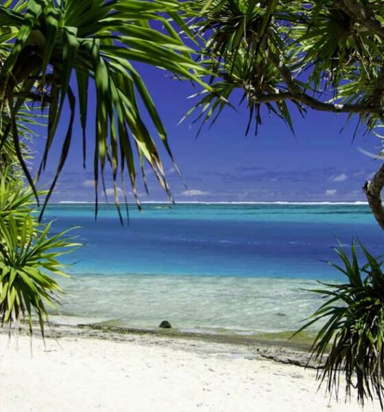 Cáñamo y cannabis medicinal en Vanuatu