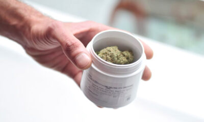Formación de médicos en cannabis medicinal