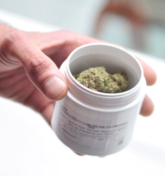 Formación de médicos en cannabis medicinal