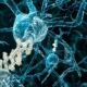 CBD para la memoria y el Alzheimer