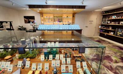 La legalización del cannabis sufre un revés en Massachusetts