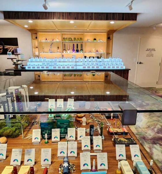 La legalización del cannabis sufre un revés en Massachusetts