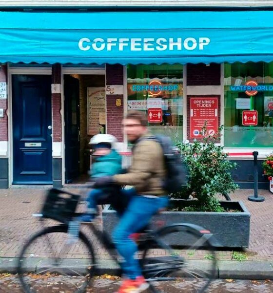 Cafés en 2024