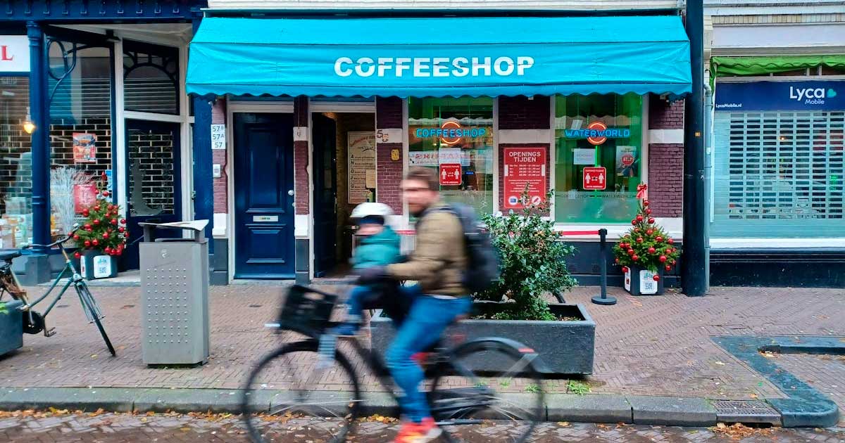 Cafés en 2024