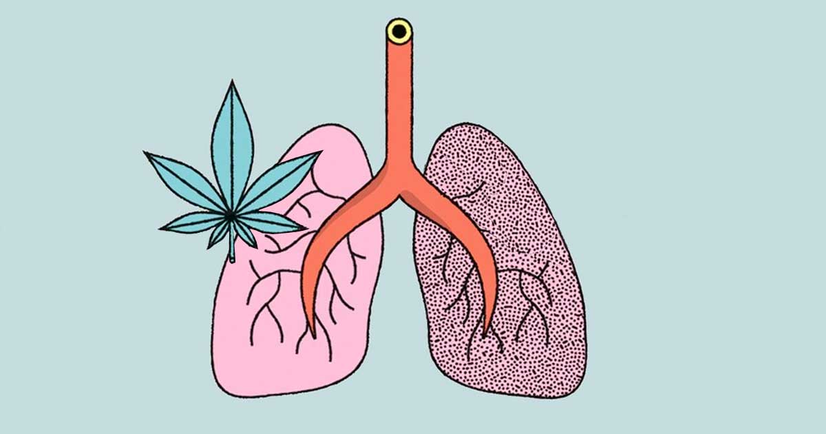 Estudio sobre el efecto del cannabis y el tabaco en el pulmón