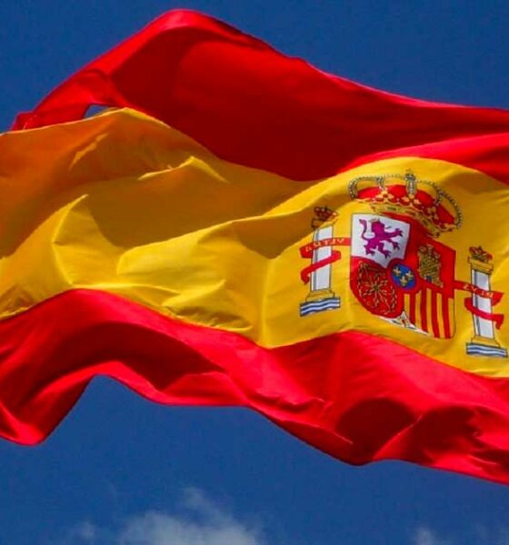 Legalización del cannabis medicinal en España