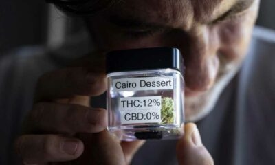 Cannabis legal en Suiza