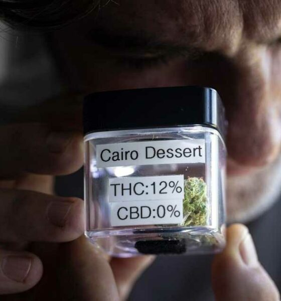 Cannabis legal en Suiza