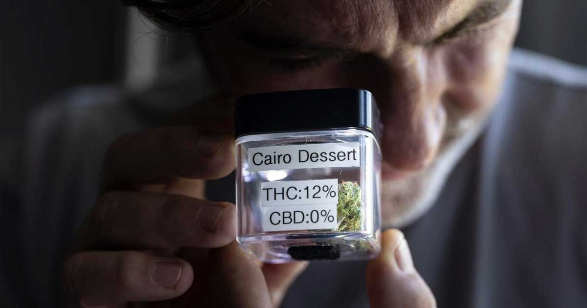 Cannabis legal en Suiza
