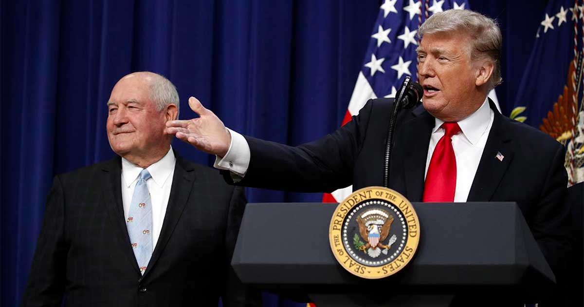 Trump promociona el CBD para las personas mayores