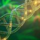Estudio sobre el ADN y el consumo de cannabis