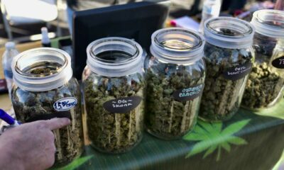 Venta de cannabis durante festivales en Calgary