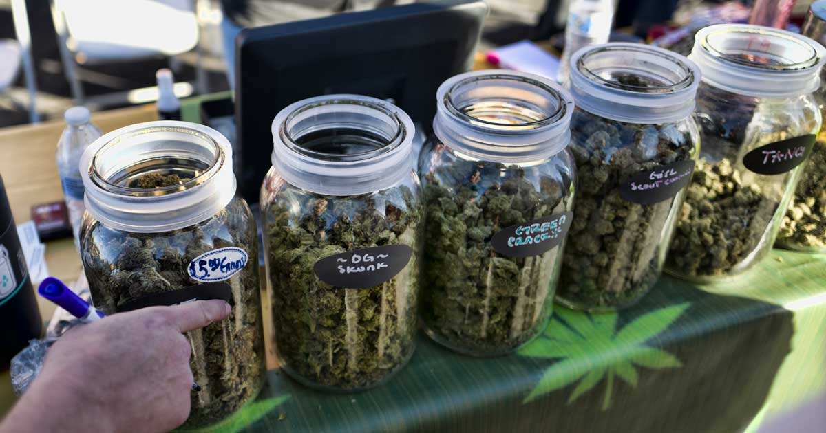 Venta de cannabis durante festivales en Calgary