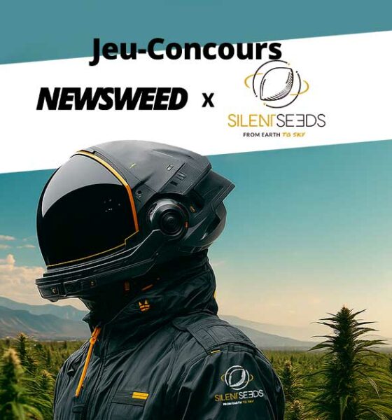 Concurso Semillas Silenciosas