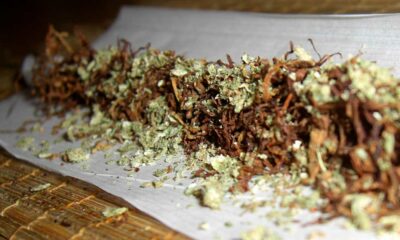 El tabaco y el cannabis afectan a la química cerebral