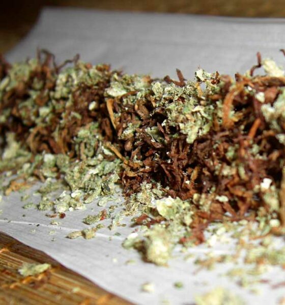 El tabaco y el cannabis afectan a la química cerebral