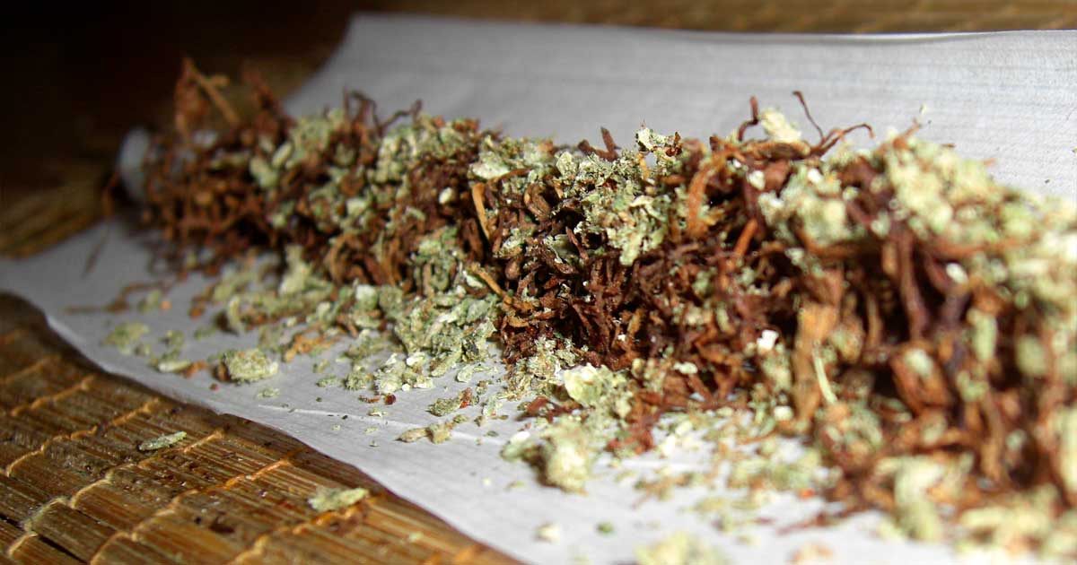 El tabaco y el cannabis afectan a la química cerebral