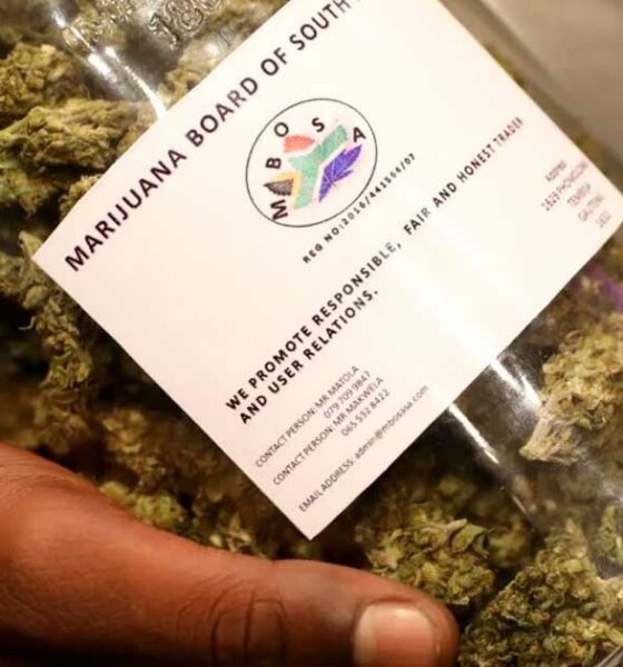 Legalización del cannabis en Sudáfrica