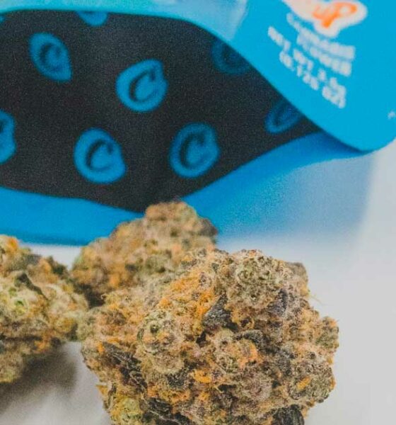 Problemas financieros de las cookies