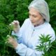 Cannabis medicinal en Brasil con Embrapa