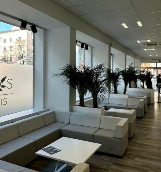 Restricciones al cannabis medicinal en Alemania