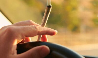 Conducción y THC en sangre