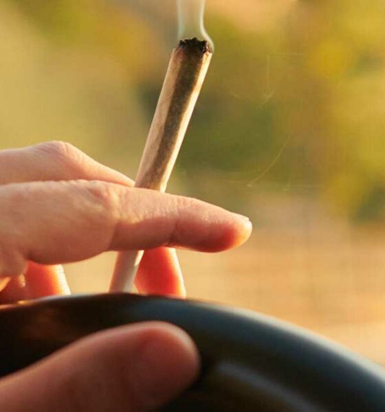 Conducción y THC en sangre