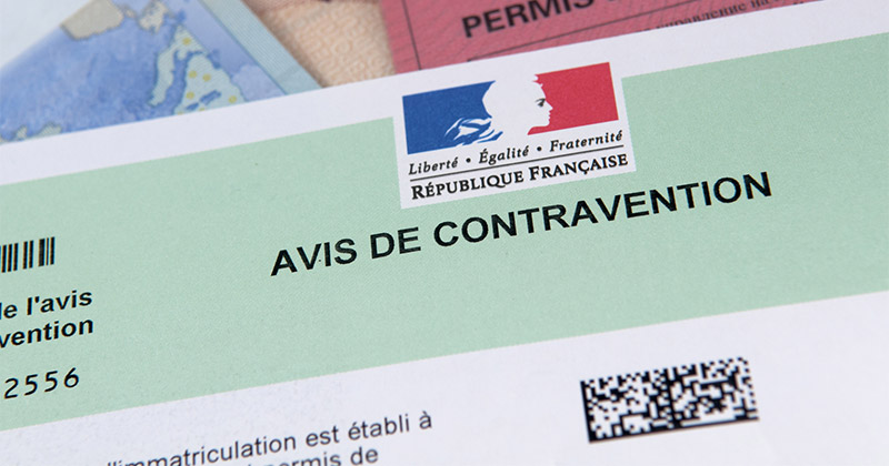 Contravencionalización del cannabis