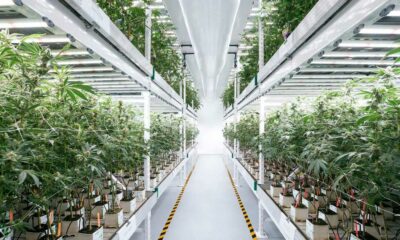 Cronos adquiere Canadelaar