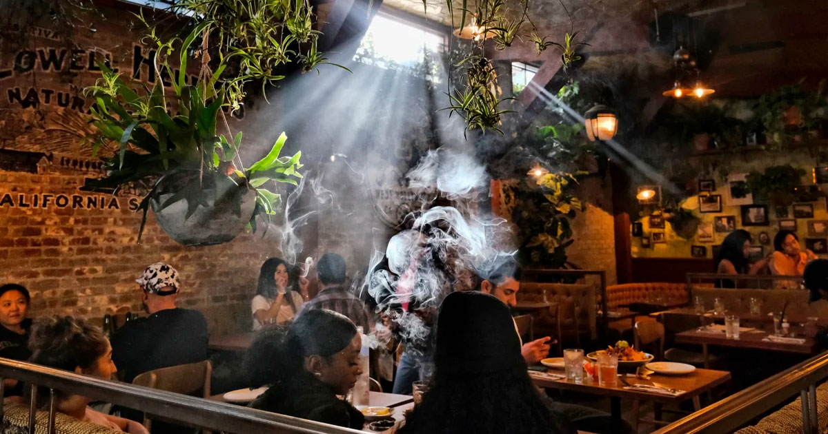 Cannabis lounges en Massachusetts