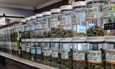 Ohio quiere bloquear el cannabis de Michigan