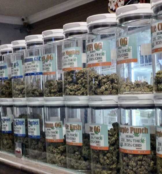 Ohio quiere bloquear el cannabis de Michigan