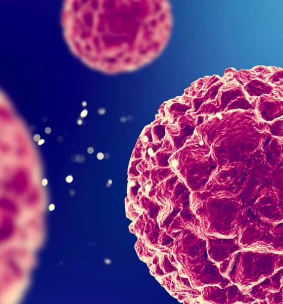 Acción antitumoral del CBD