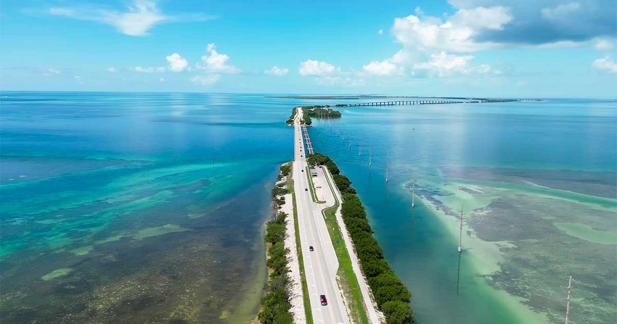 Florida y el cannabis para adultos