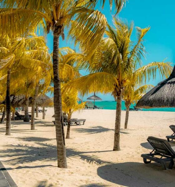 Mauricio estudia legalizar el cannabis