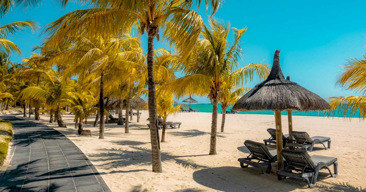 Mauricio estudia legalizar el cannabis