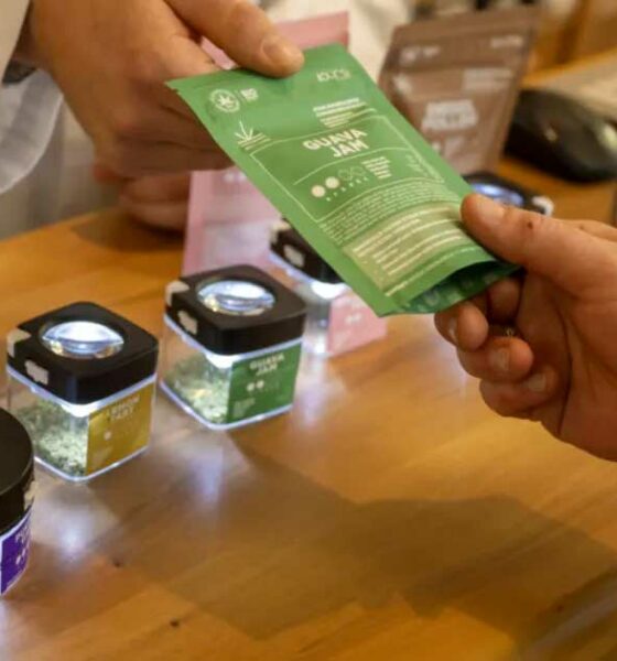 El método suizo para legalizar el cannabis