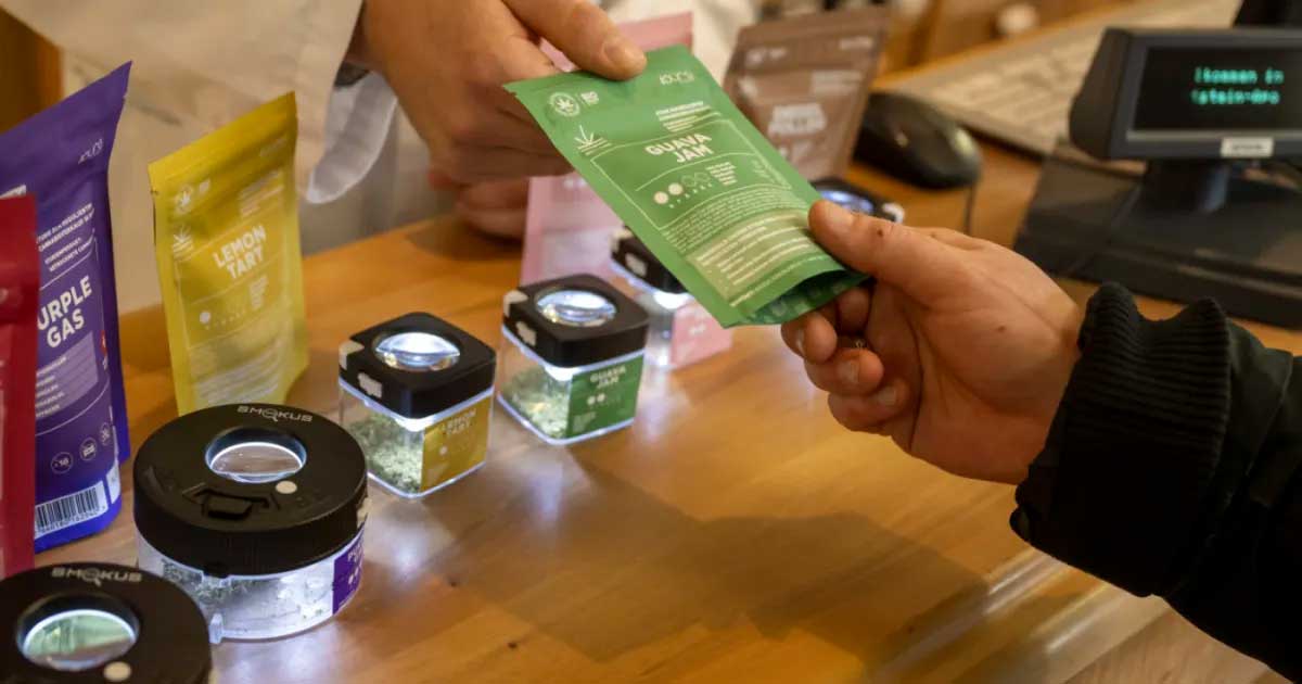 El método suizo para legalizar el cannabis