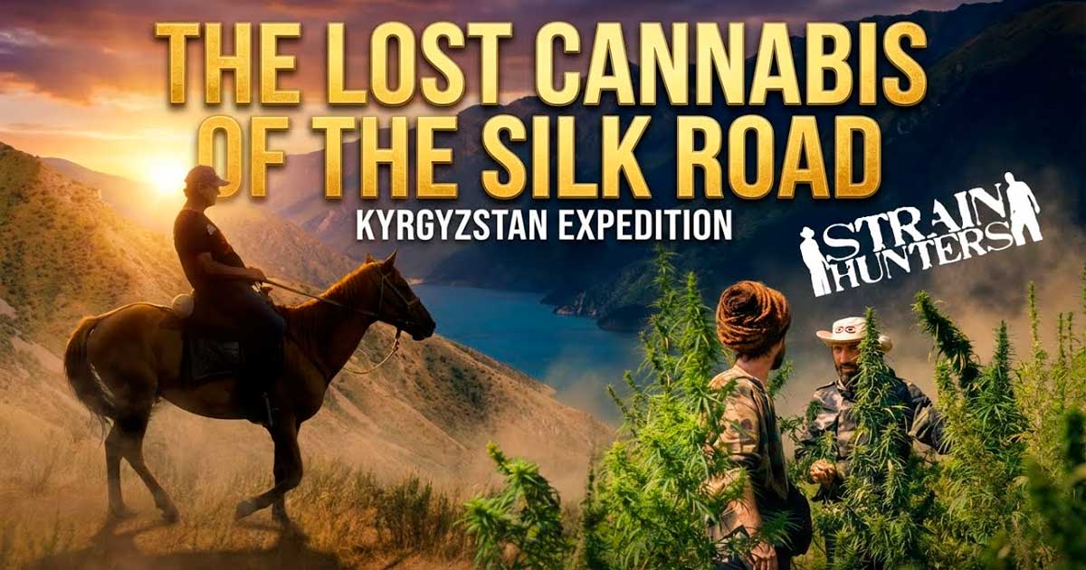 Cazadores de cepas en Kirguistán